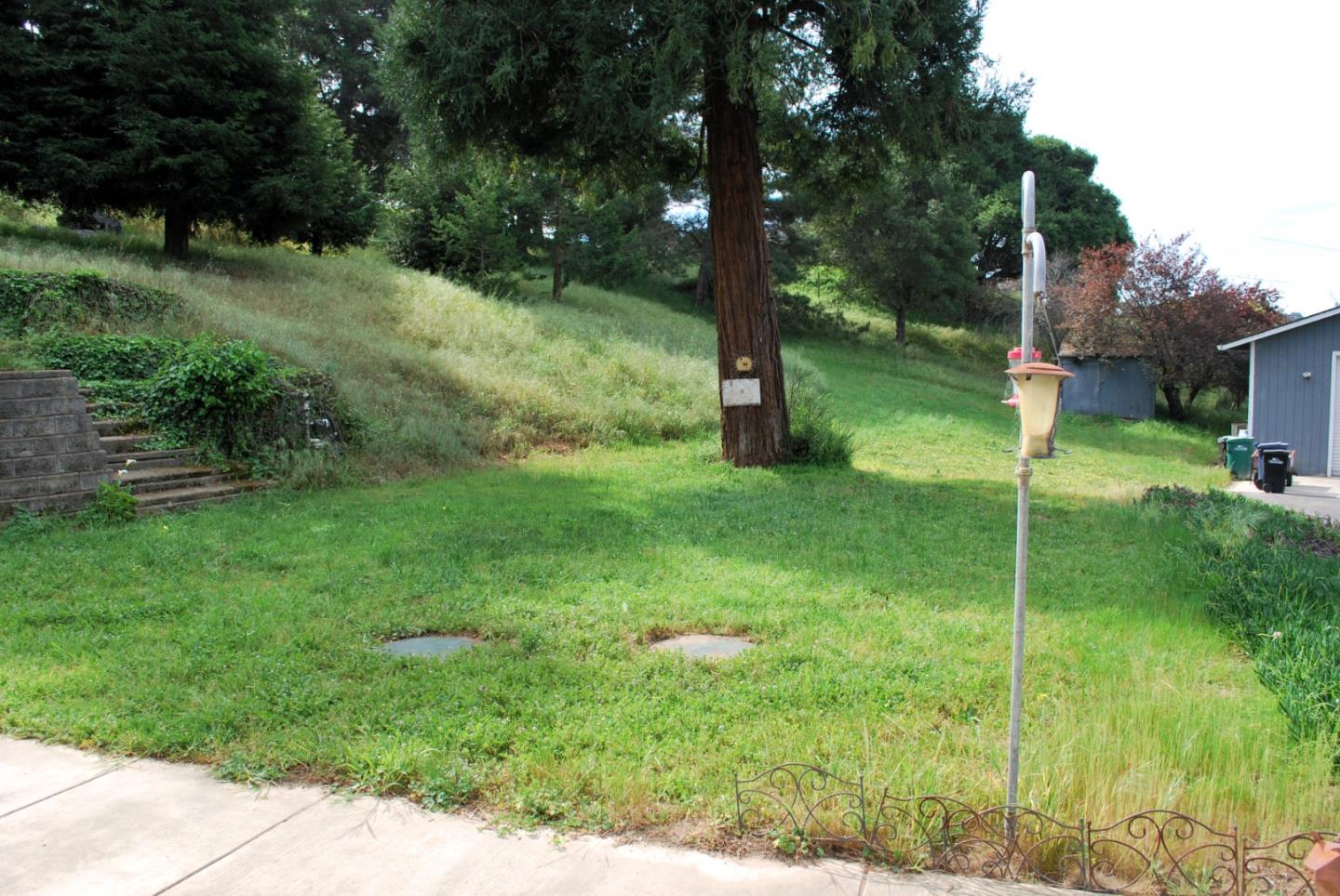 9194 Coker Road Salinas, CA 93907 - Photo 16 of 27 a view of a garden with a tree