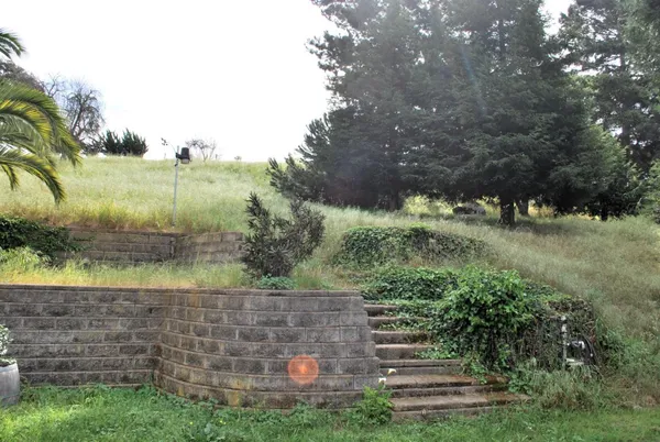 a view of outdoor space and yard