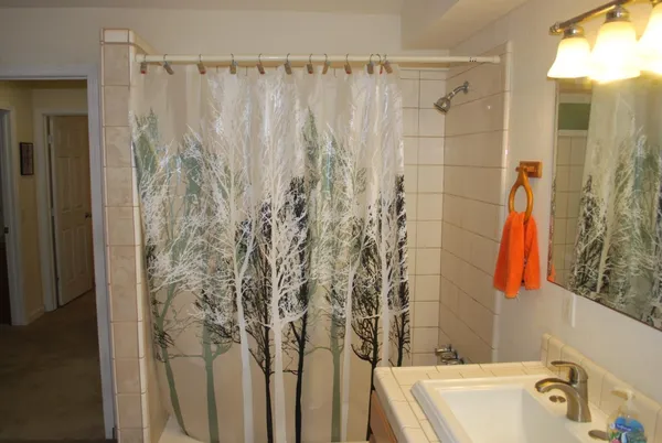 a bathroom with a bathtub and shower