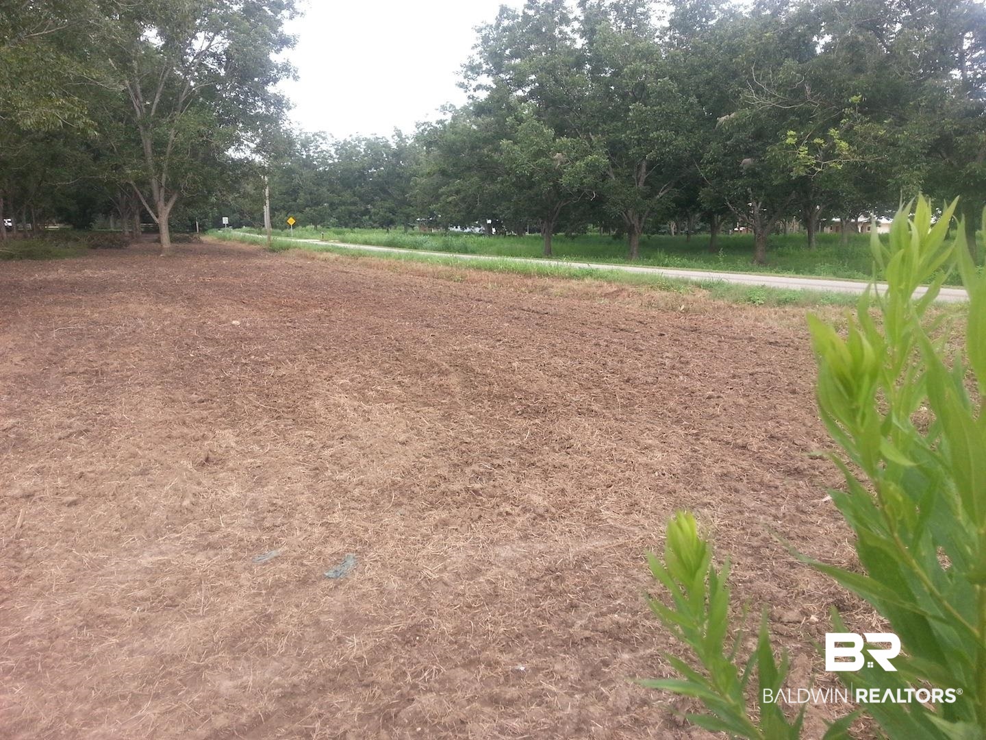0 Engel Lane Foley, AL 36535 - Photo 2 of 5 Surrounding community with view of scattered trees
