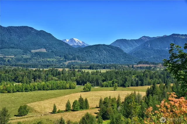 a green field with flowers and trees