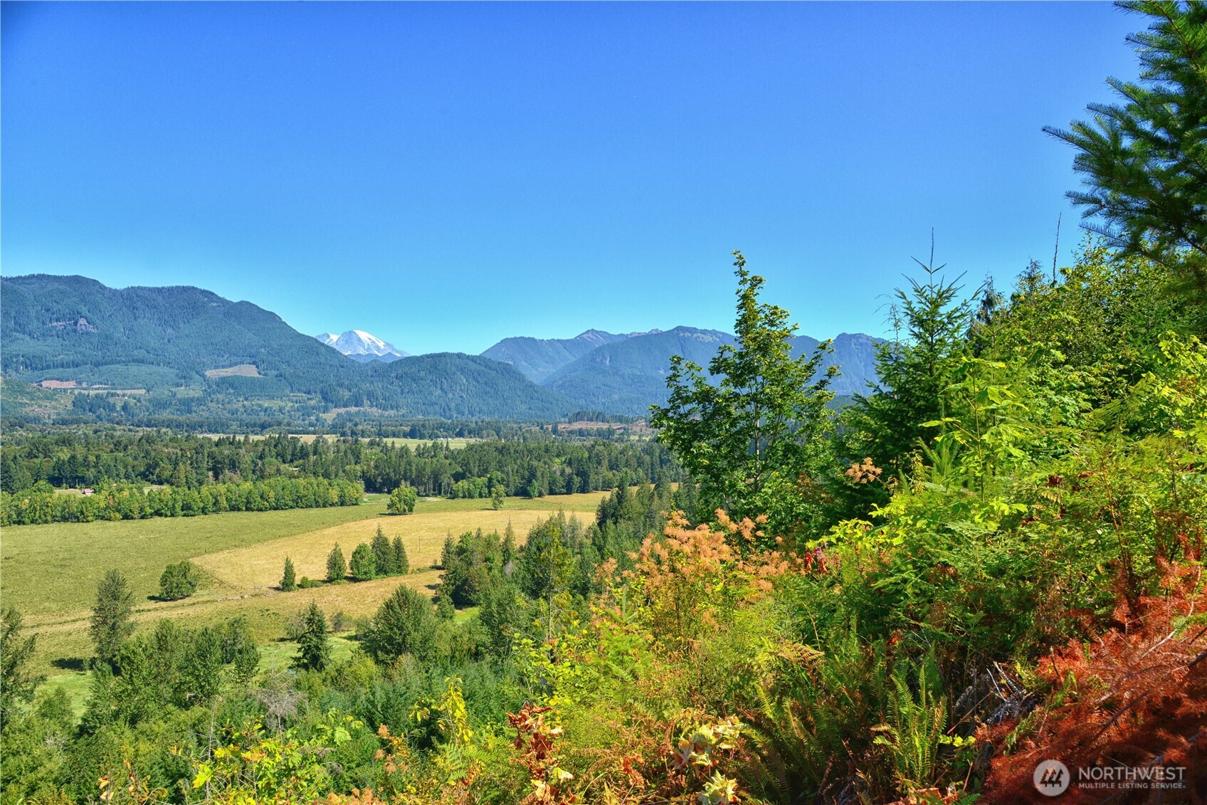 3 Skinner Road Randle, WA 98377 - Photo 13 of 38