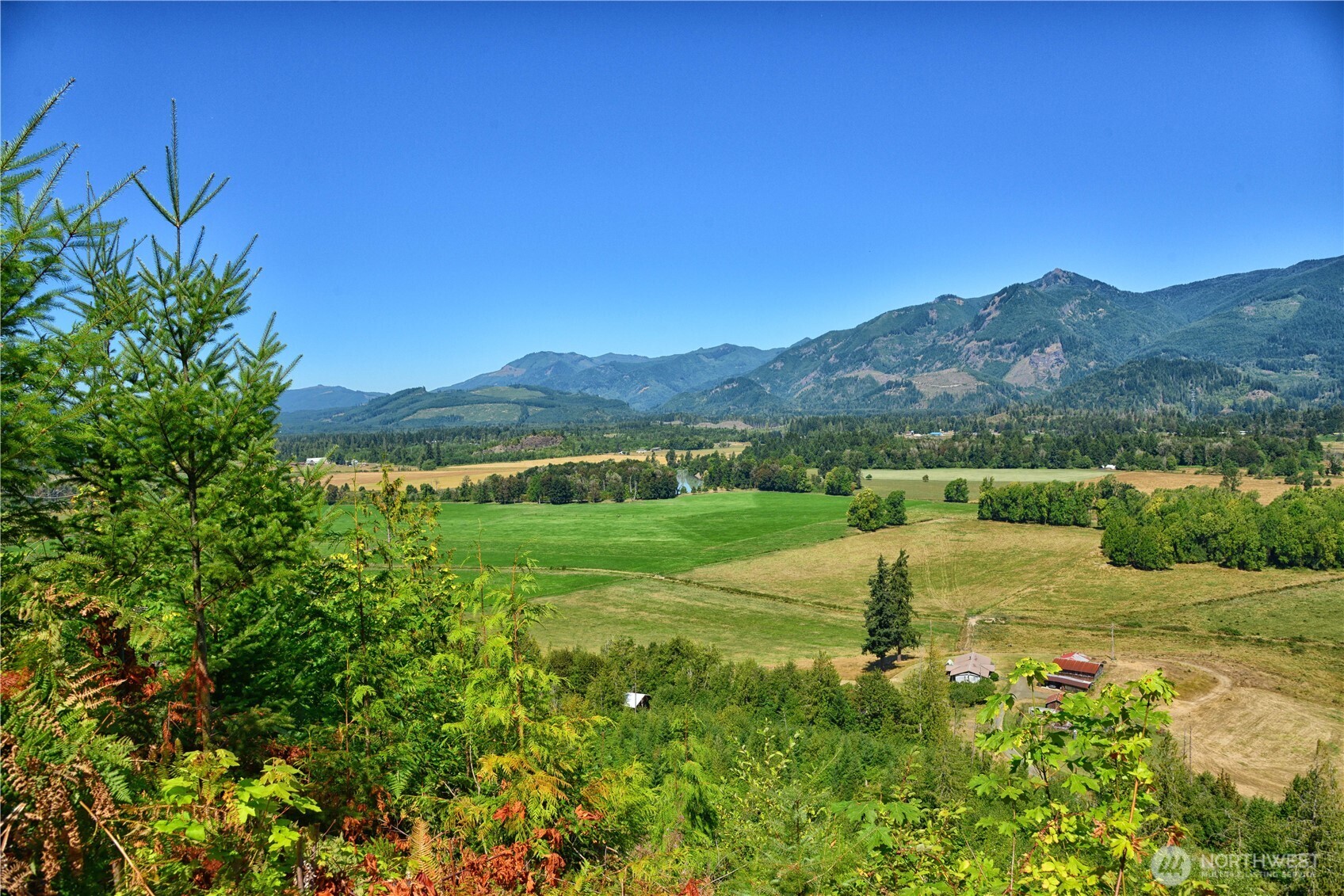 3 Skinner Road Randle, WA 98377 - Photo 16 of 38