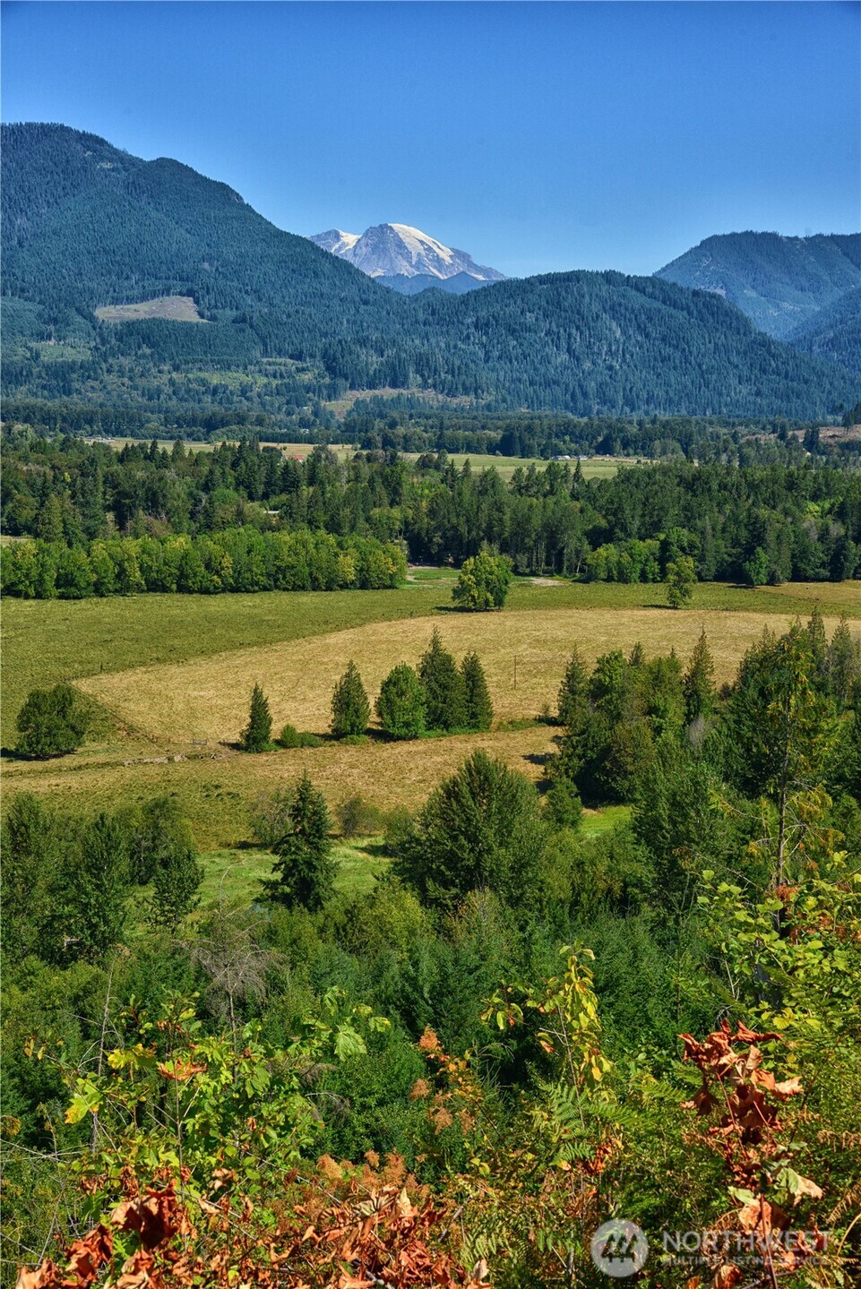 3 Skinner Road Randle, WA 98377 - Photo 17 of 38 a view of outdoor space and mountain view