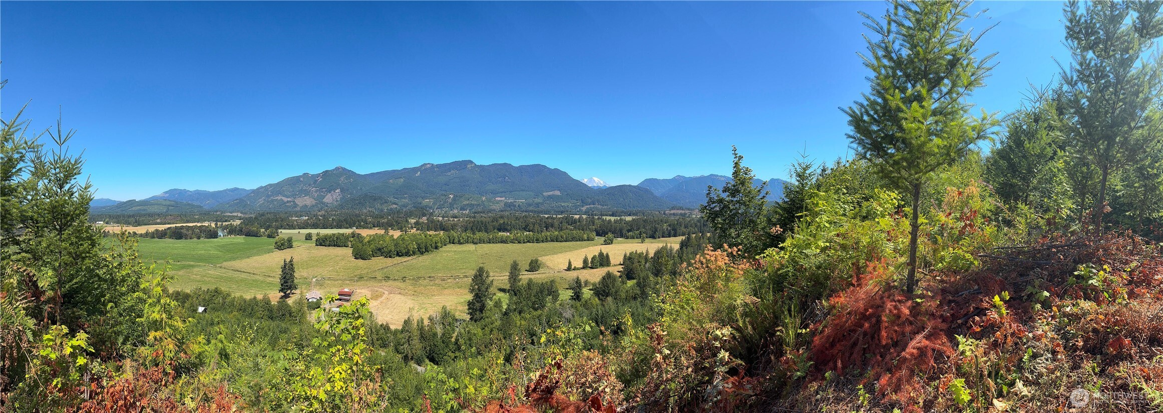 3 Skinner Road Randle, WA 98377 - Photo 23 of 38 a view of green landscape with trees in the background