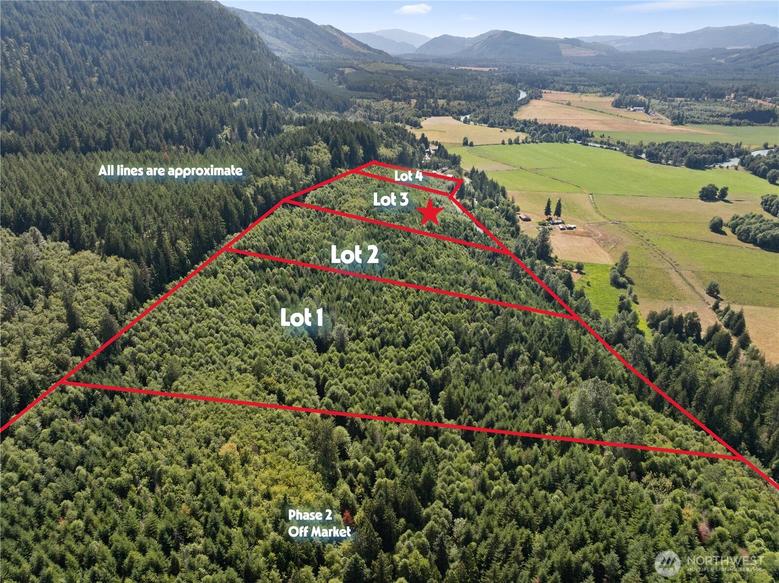 3 Skinner Road Randle, WA 98377 - Photo 24 of 38 a view of a lush green hillside and a houses