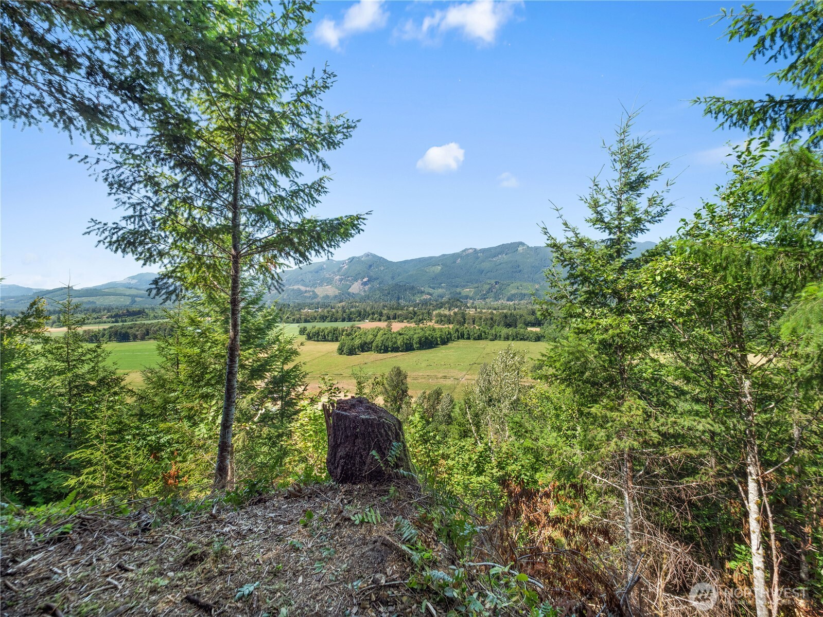 3 Skinner Road Randle, WA 98377 - Photo 25 of 38