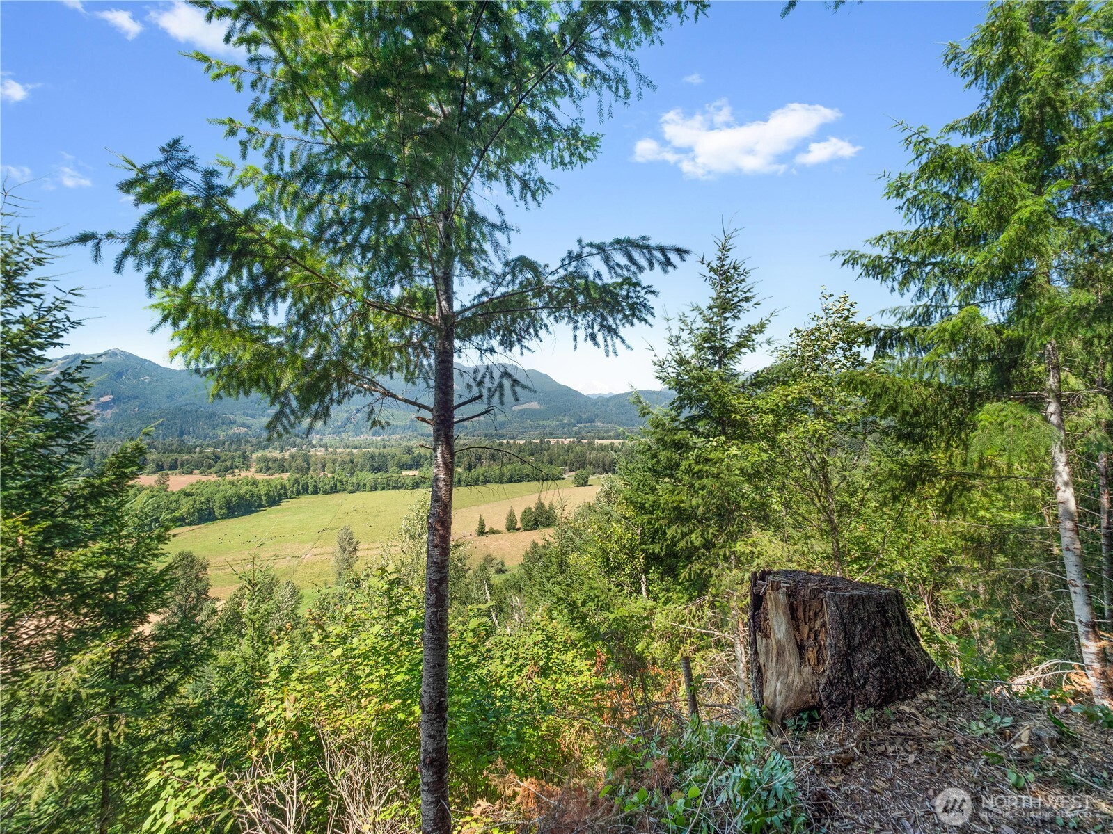 3 Skinner Road Randle, WA 98377 - Photo 27 of 38