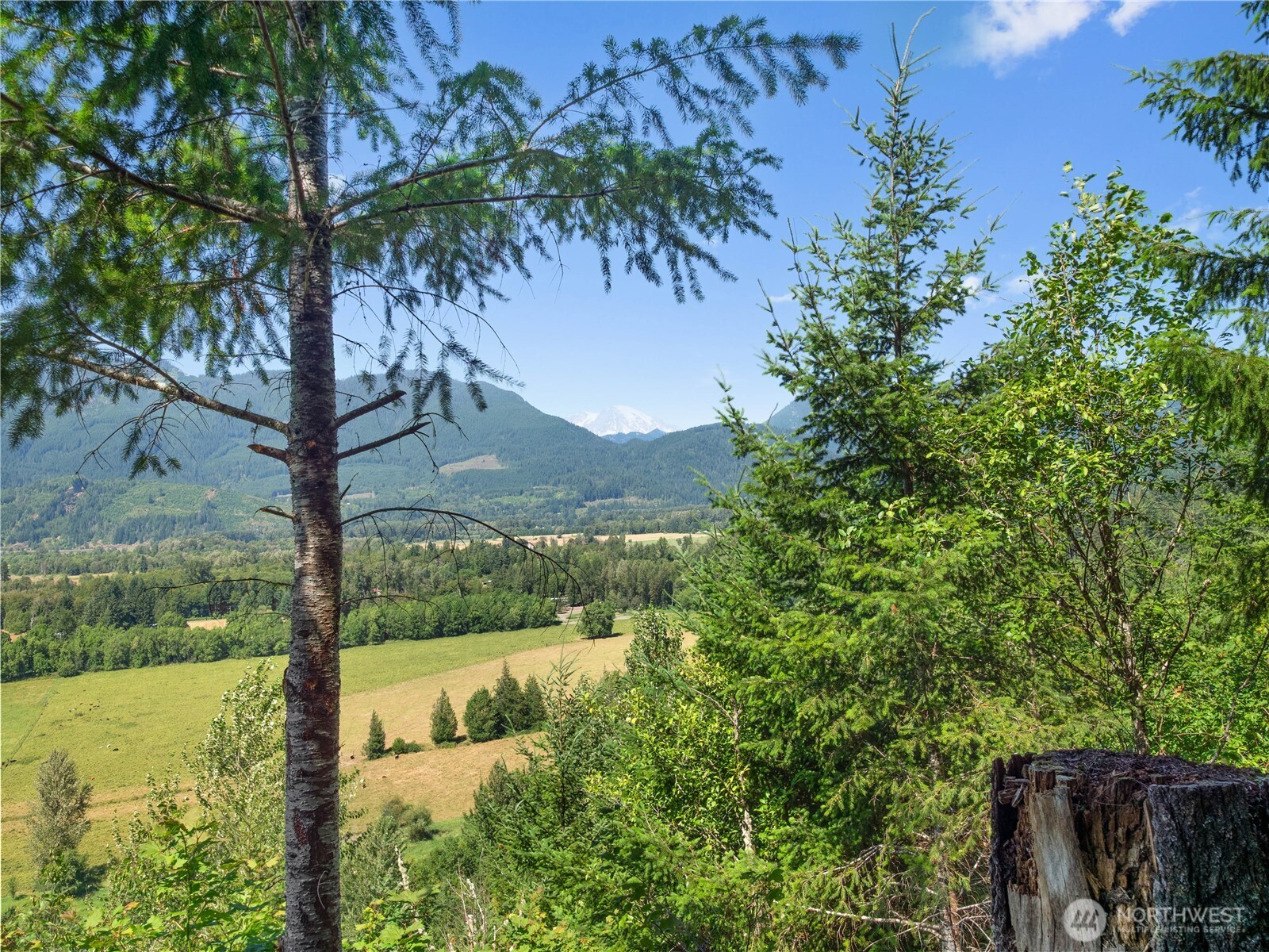 3 Skinner Road Randle, WA 98377 - Photo 28 of 38 a view of a garden from a lake