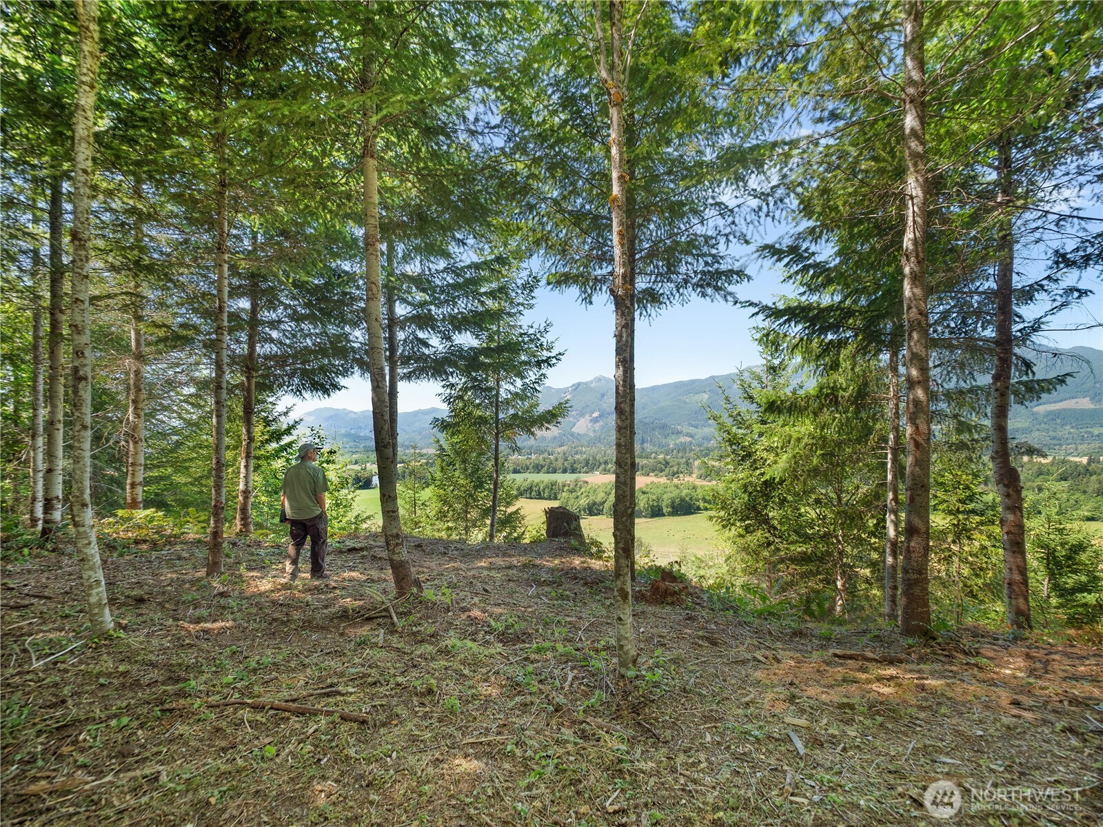 3 Skinner Road Randle, WA 98377 - Photo 29 of 38