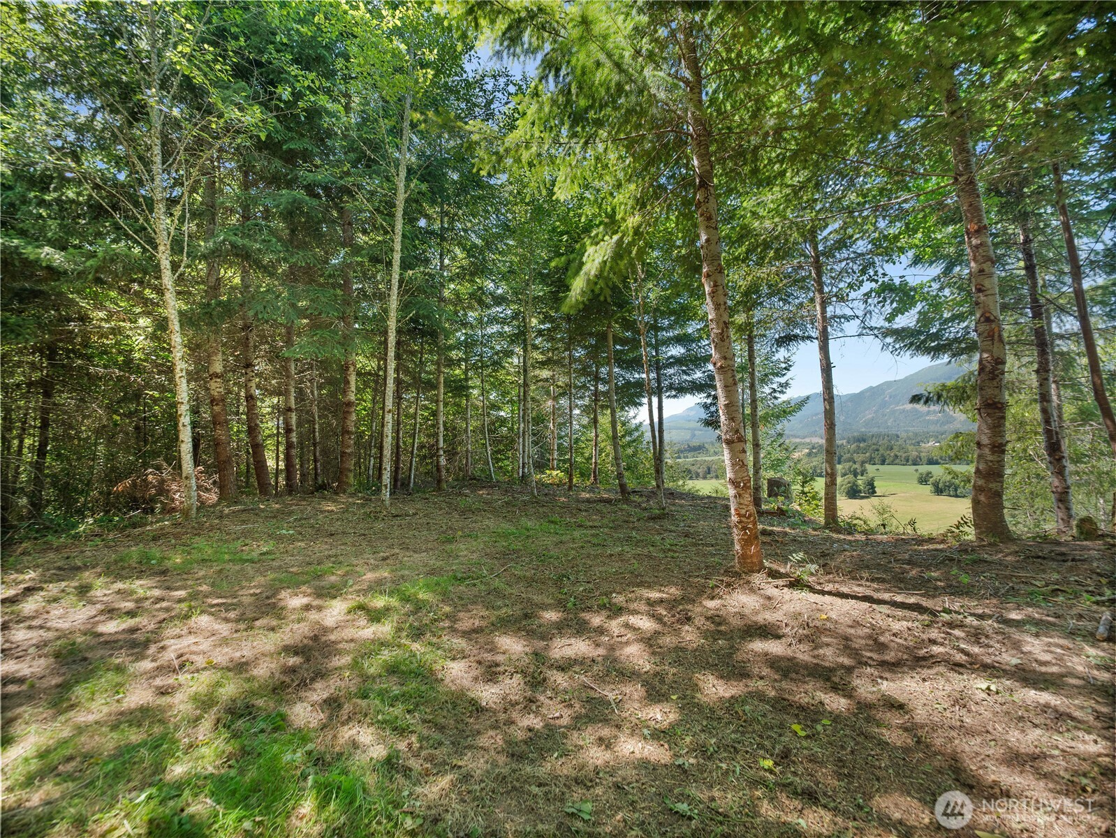 3 Skinner Road Randle, WA 98377 - Photo 30 of 38