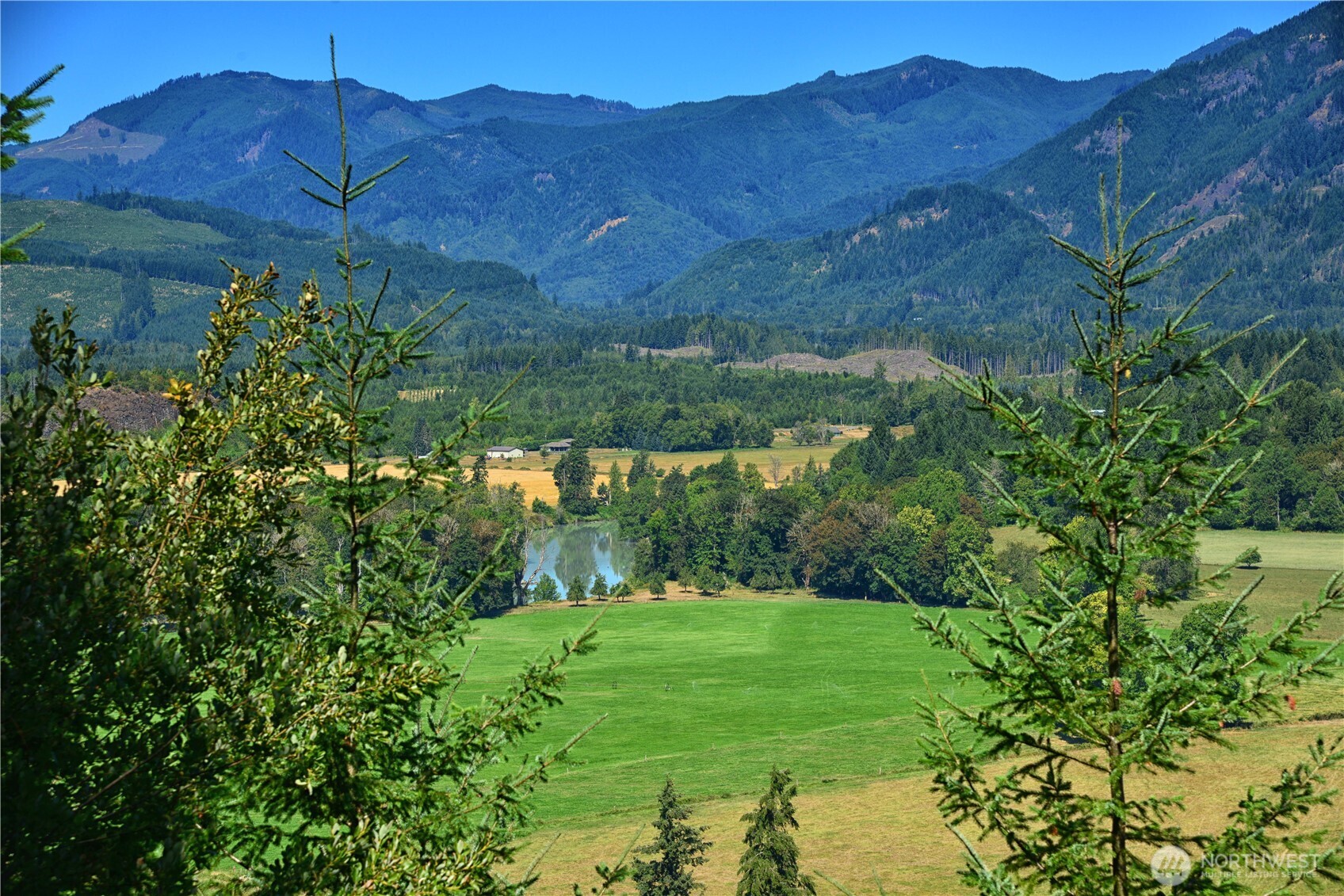 3 Skinner Road Randle, WA 98377 - Photo 3 of 38