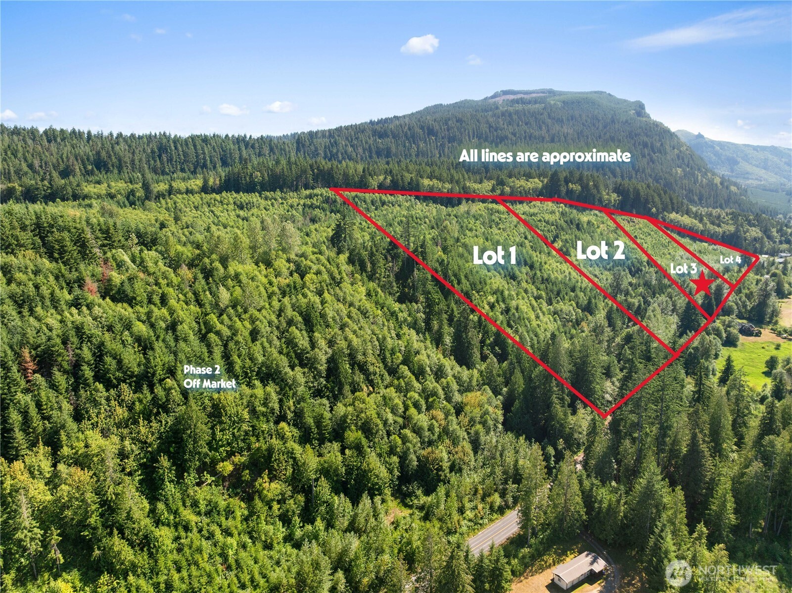 3 Skinner Road Randle, WA 98377 - Photo 35 of 38 a view of a lush green field with a view