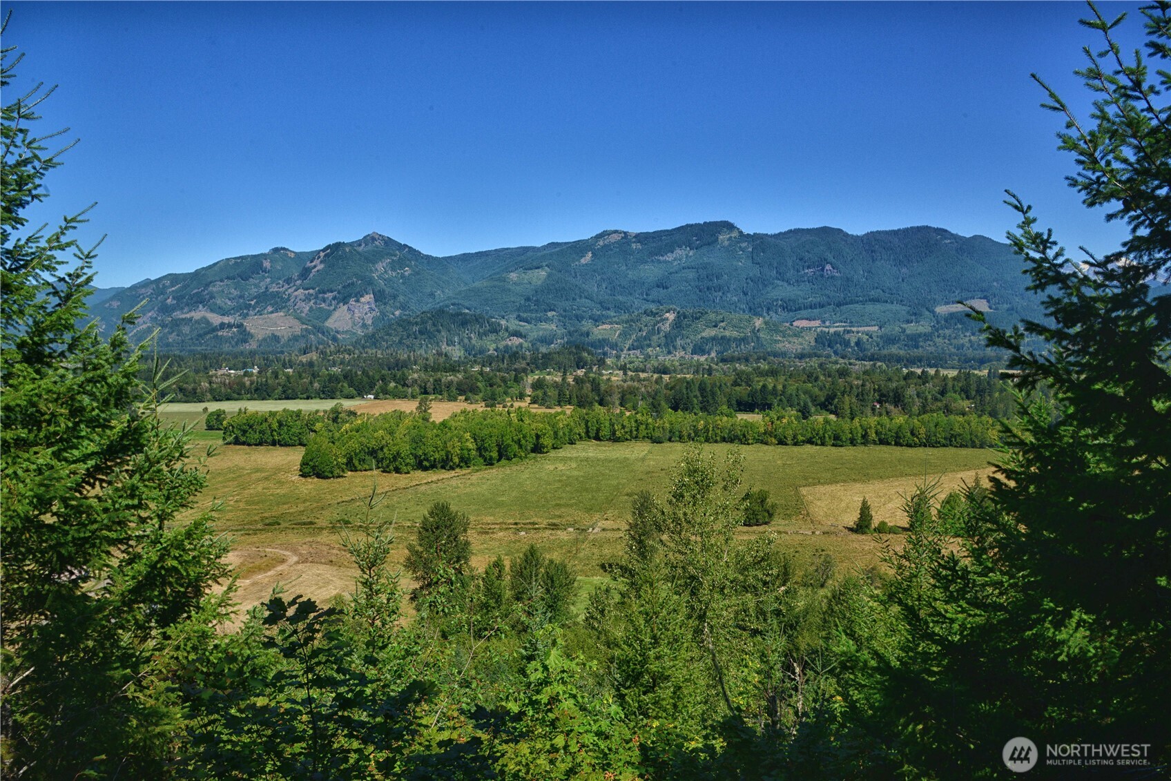 3 Skinner Road Randle, WA 98377 - Photo 5 of 38 a view of lake with mountain