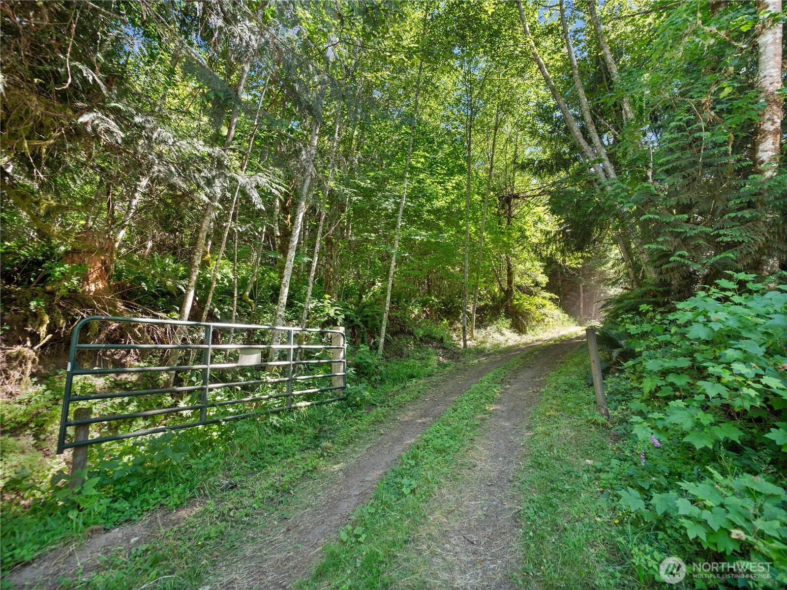 3 Skinner Road Randle, WA 98377 - Photo 6 of 38