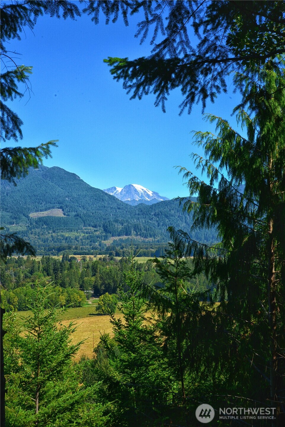 3 Skinner Road Randle, WA 98377 - Photo 10 of 38