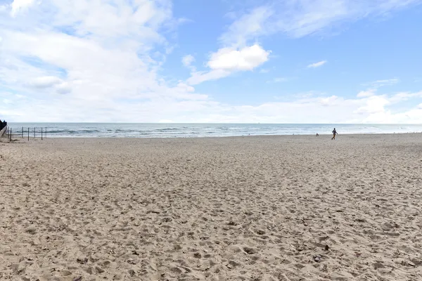 $1,595 | 1127 West Farwell Avenue, Unit 105, Chicago, IL 60626