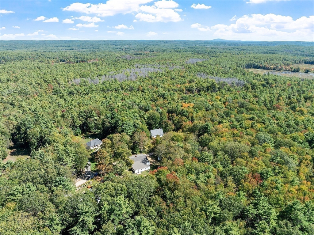 34 Morse Road Royalston, MA 01368 - Photo 11 of 42 a view of a green field with lots of bushes