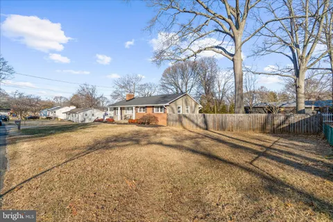 a view of a yard with trees in the background