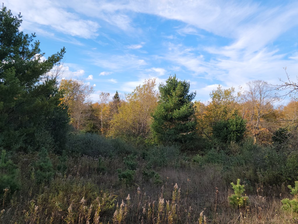 Tbdlot2 Gibraltar Road Fish Creek, WI 54212 - Photo 6 of 6