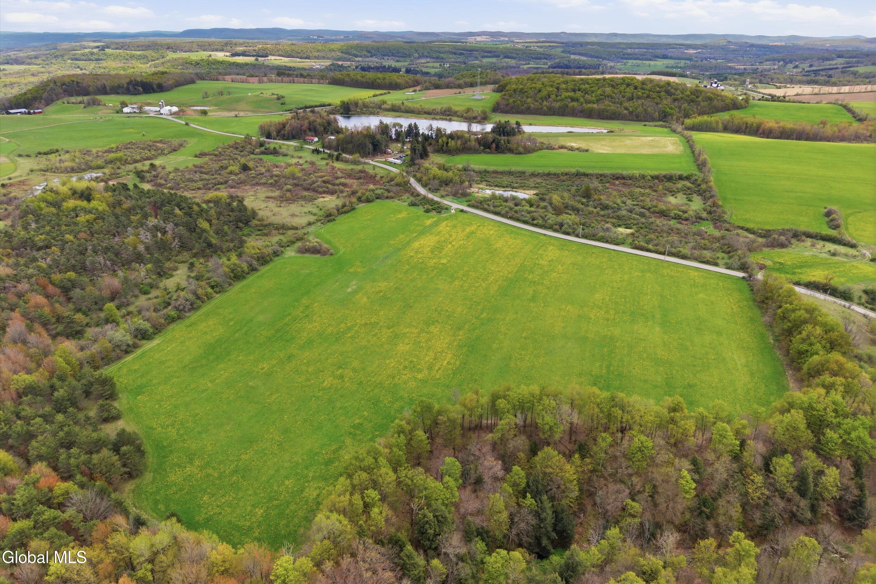 L27 Travis Road Fort Plain, NY 13339 - Photo 1 of 11 177.70 acre - Travis Rd lot