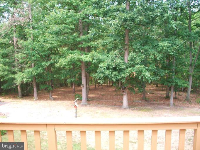 572 Murphy Road Berkeley Springs, WV 25411 - Photo 21 of 30 Deck - View from