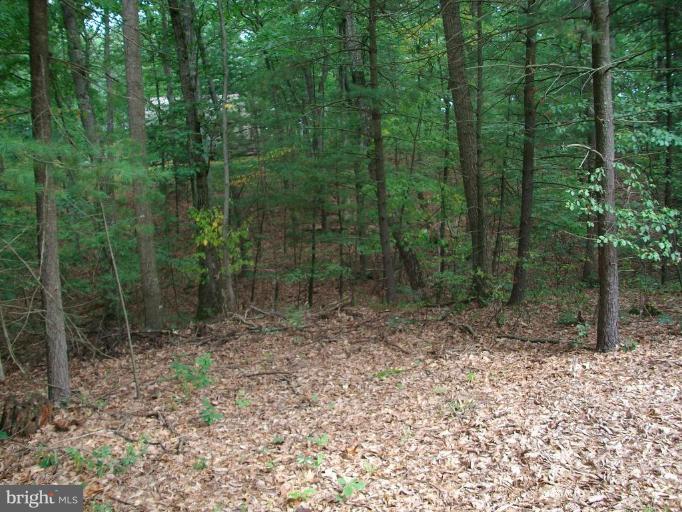 572 Murphy Road Berkeley Springs, WV 25411 - Photo 29 of 30 Exterior #5