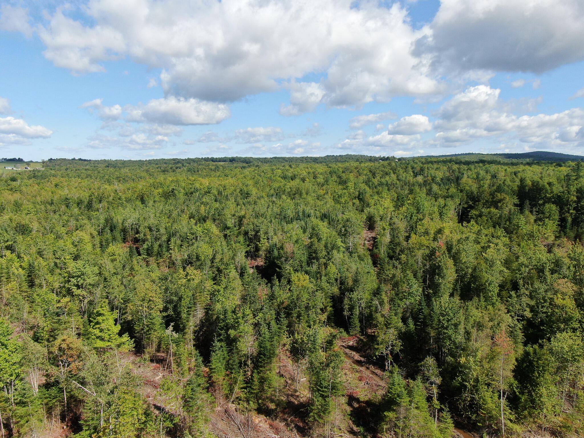 Lot 28 Murray Road Thorndike, ME 04986 - Photo 1 of 38 DJI_0191