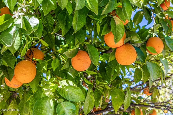 $2,650,000 | 3409 East Ivyglen Circle, Mesa, AZ 85213