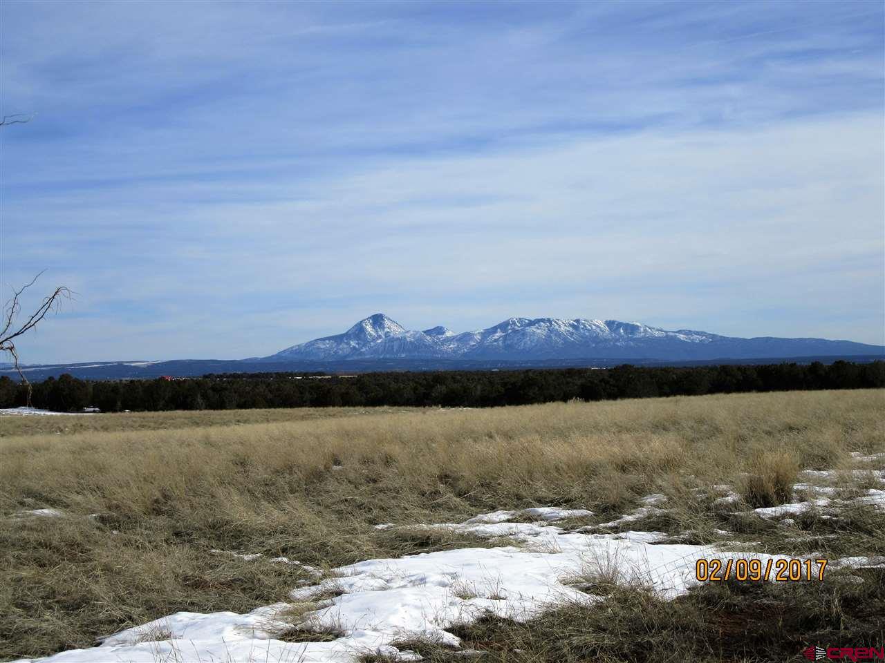 5260 Rd CC Pleasant View, CO 81331 - Photo 14 of 17