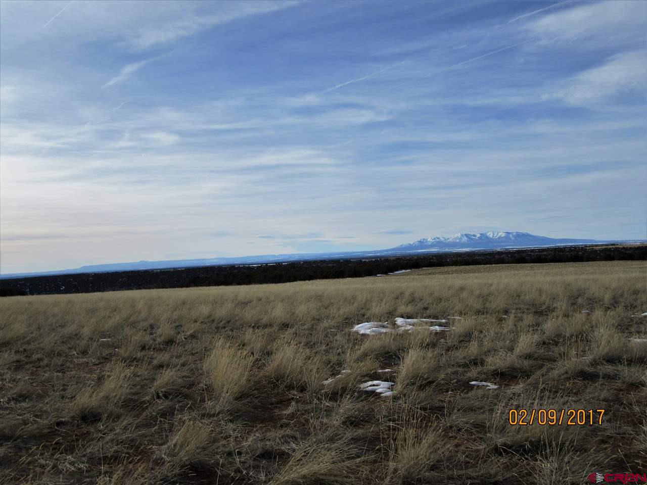 5260 Rd CC Pleasant View, CO 81331 - Photo 15 of 17