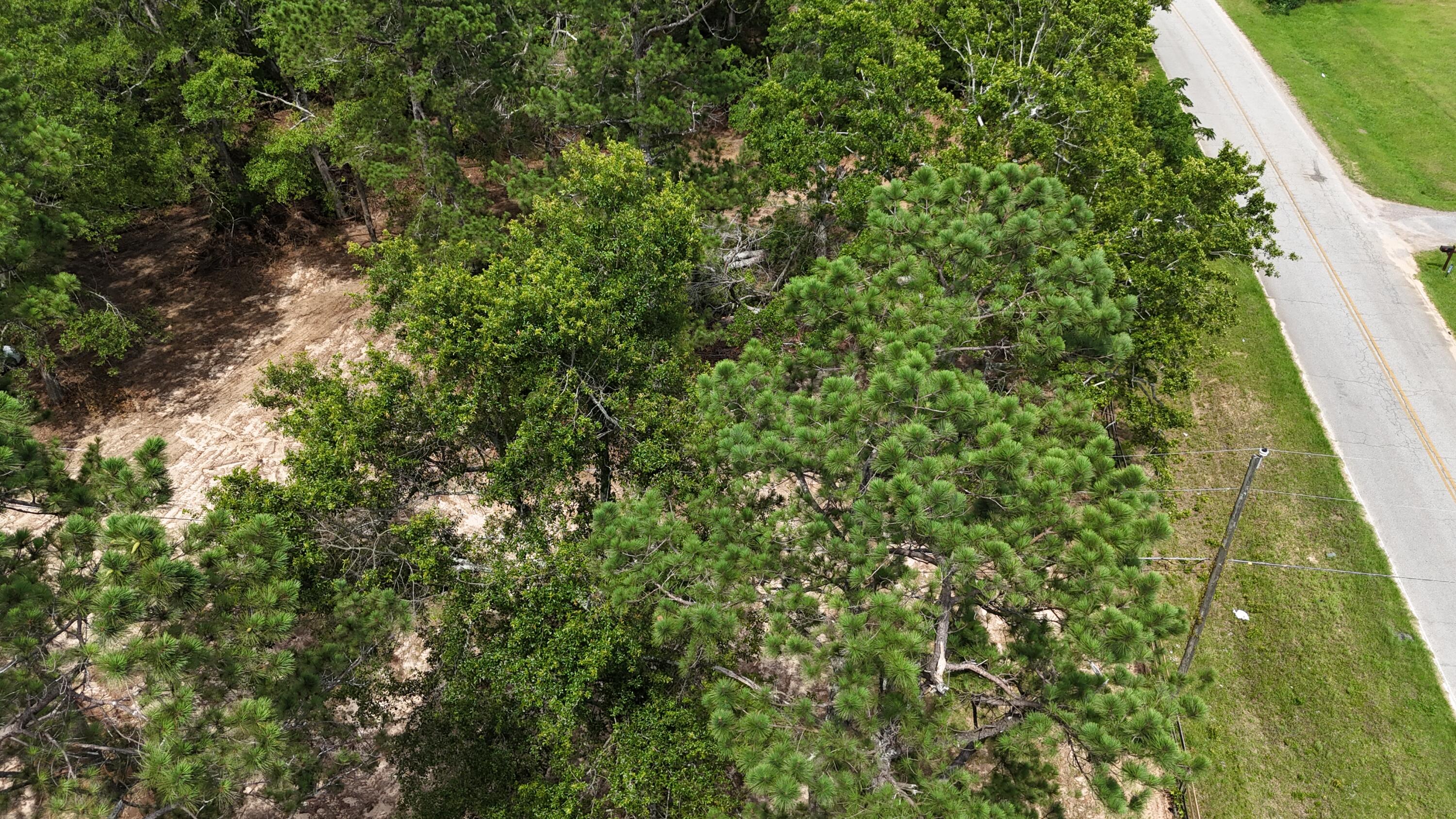 2039 McDade Road Hephzibah, GA 30815 - Photo 11 of 20 DJI_20250608133401_0067_D