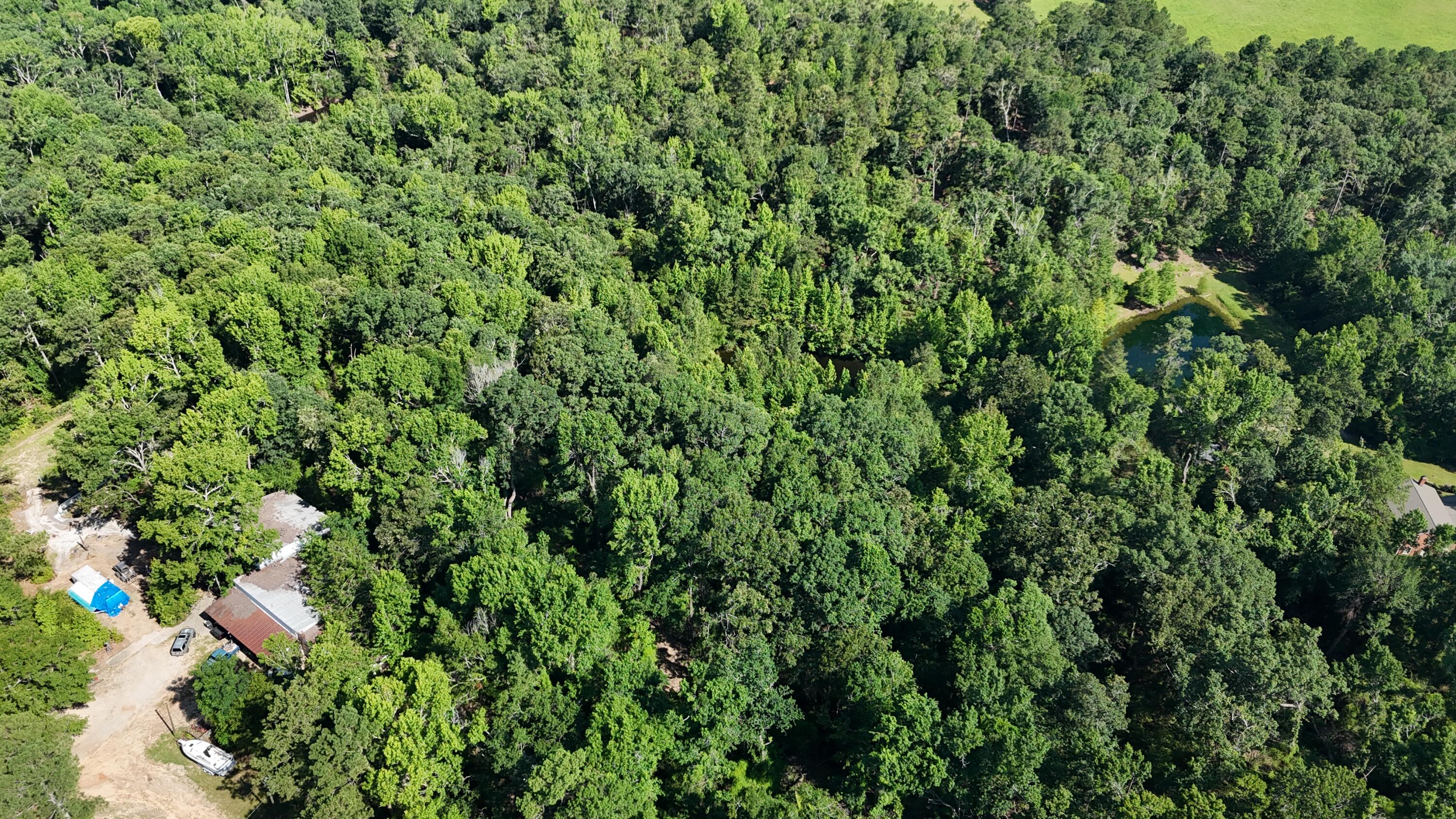 2039 McDade Road Hephzibah, GA 30815 - Photo 14 of 20 DJI_20250626102031_0072_D