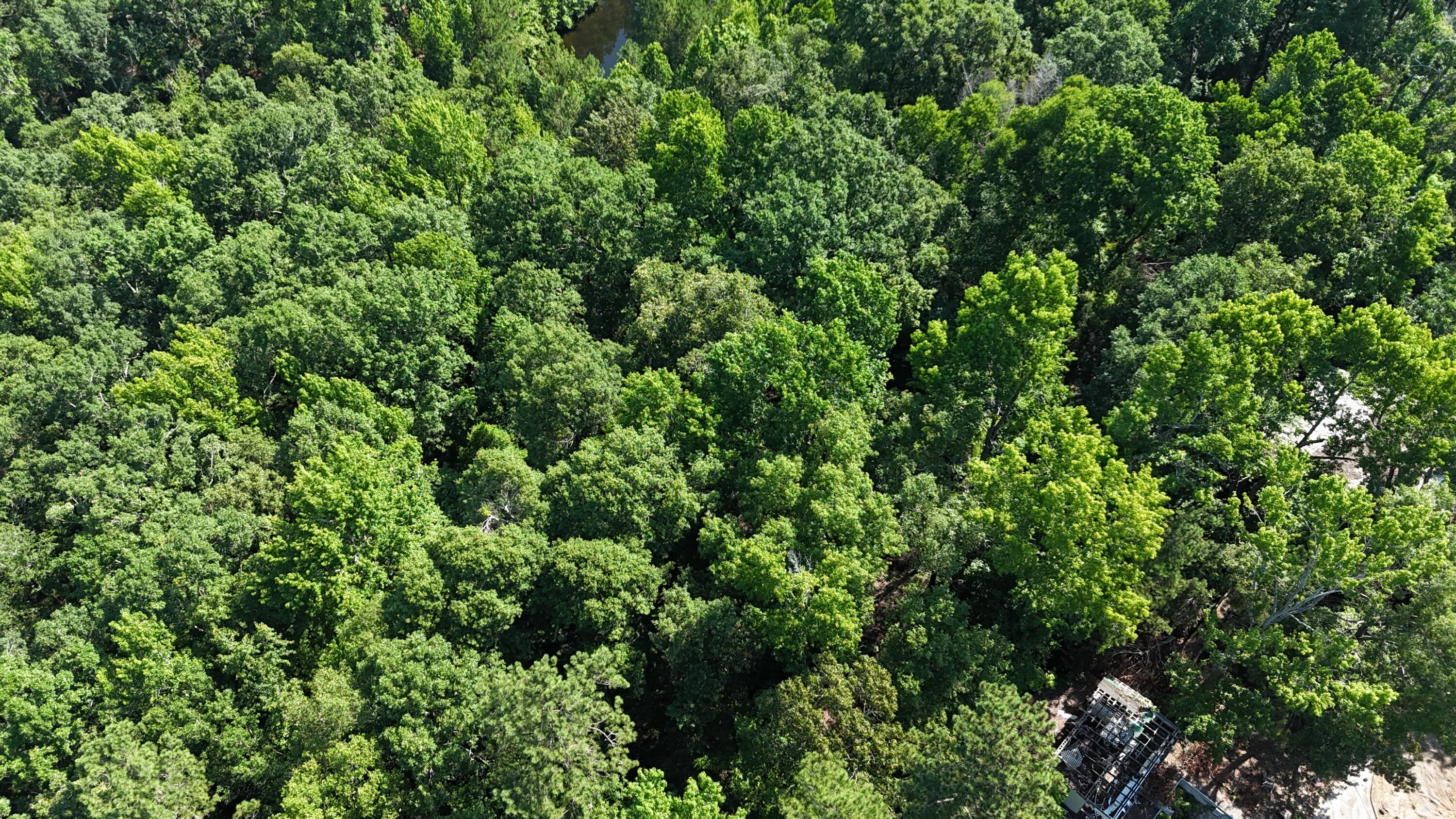 2039 McDade Road Hephzibah, GA 30815 - Photo 15 of 20 DJI_20250626102258_0076_D