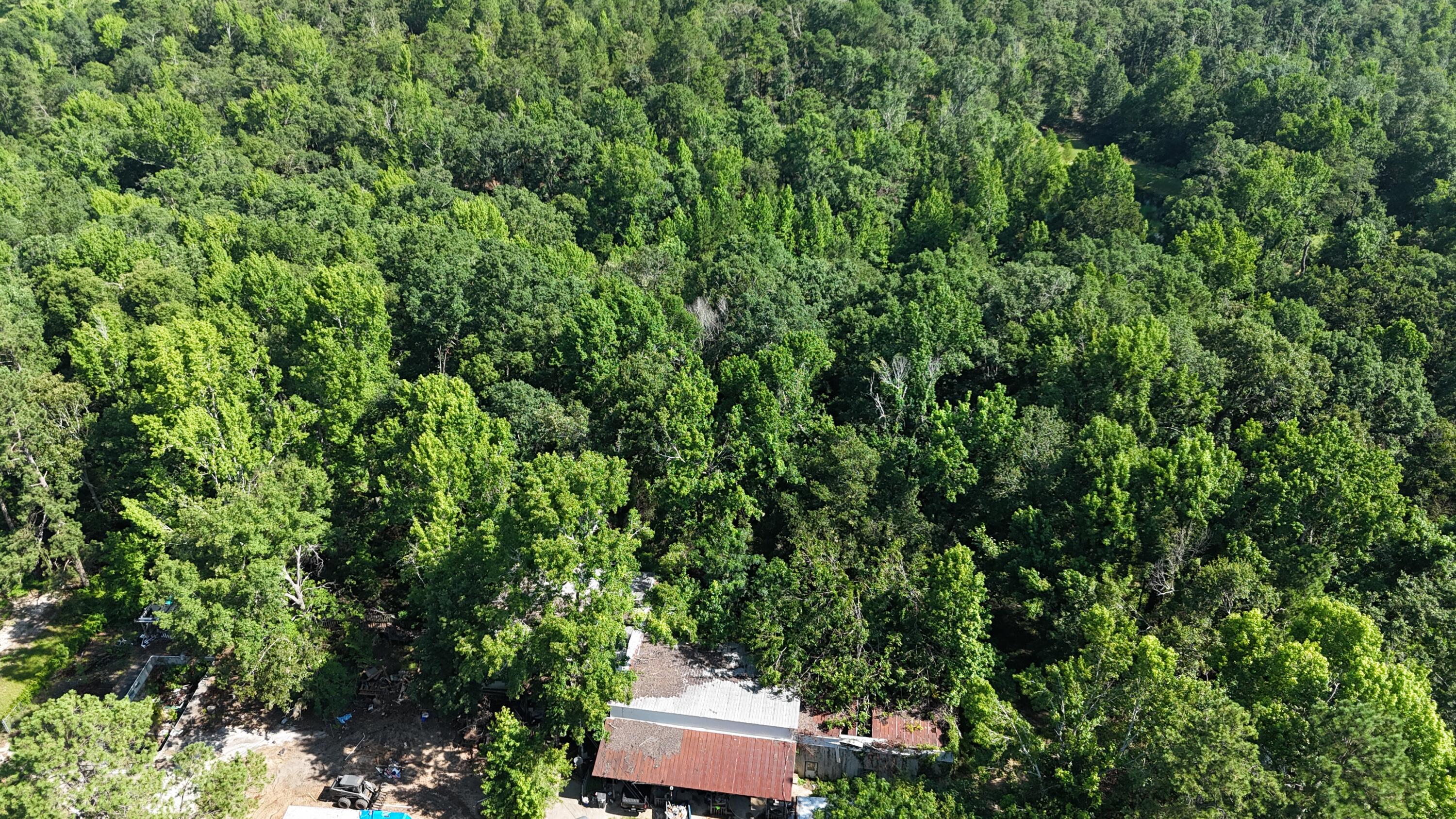 2039 McDade Road Hephzibah, GA 30815 - Photo 16 of 20 DJI_20250626102322_0077_D