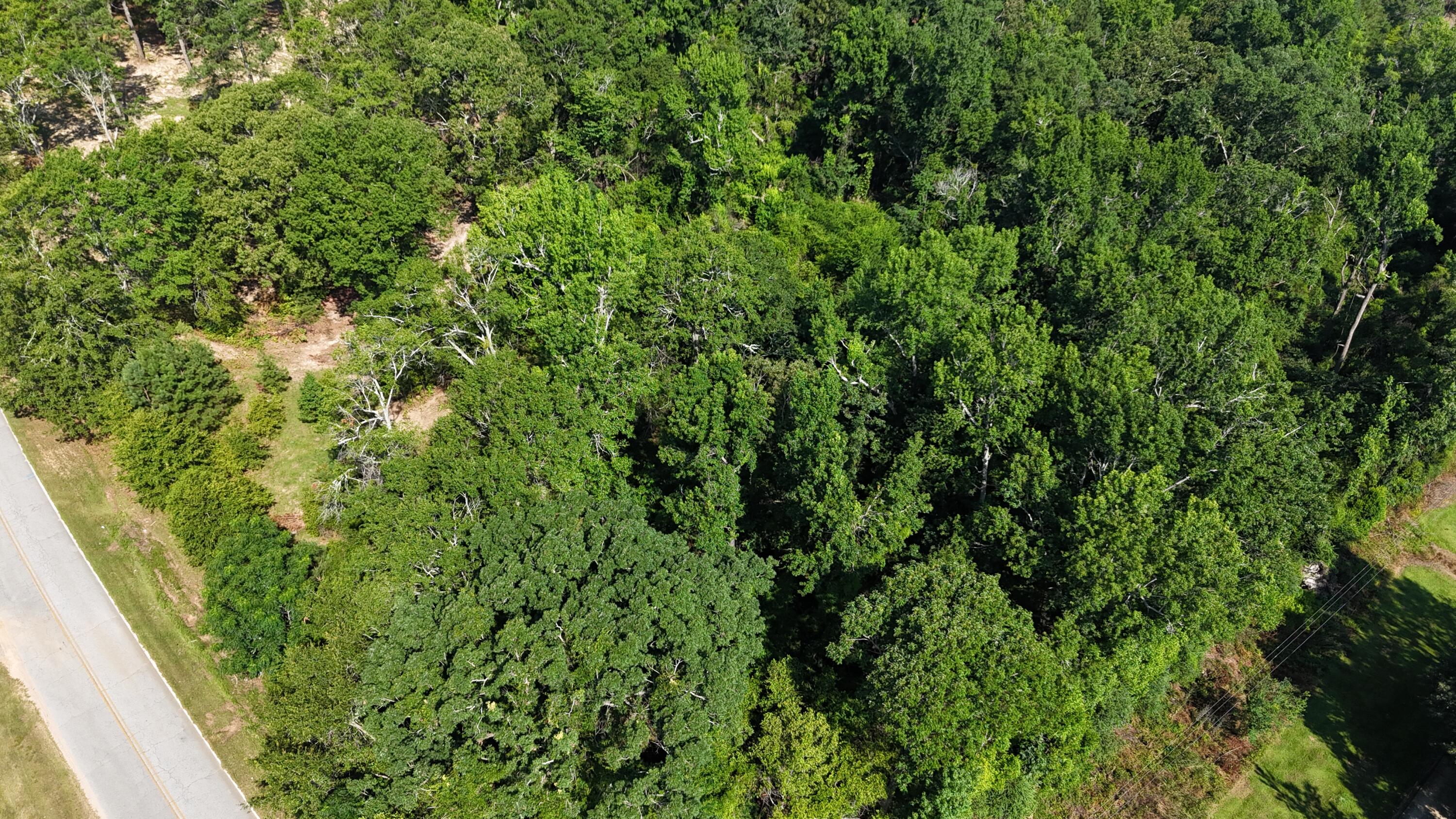 2039 McDade Road Hephzibah, GA 30815 - Photo 18 of 20 DJI_20250626102408_0079_D