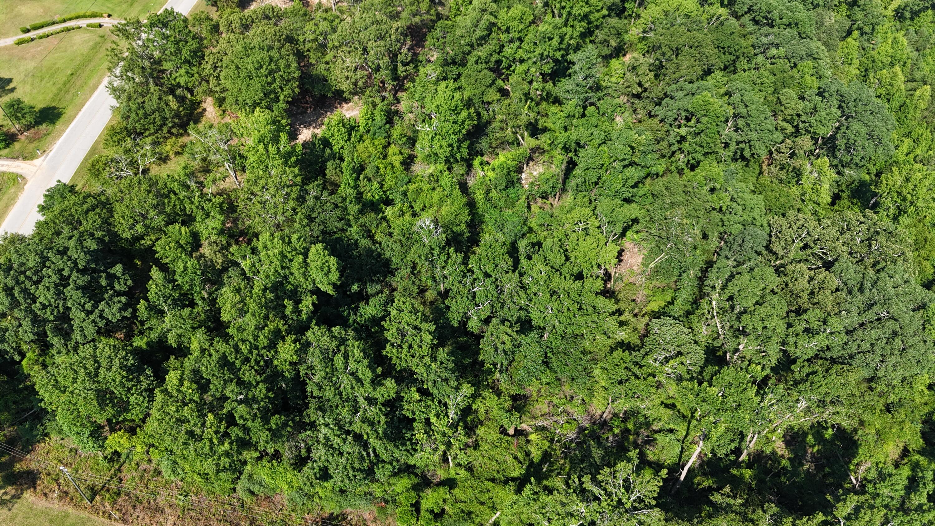 2039 McDade Road Hephzibah, GA 30815 - Photo 19 of 20 DJI_20250626102428_0080_D