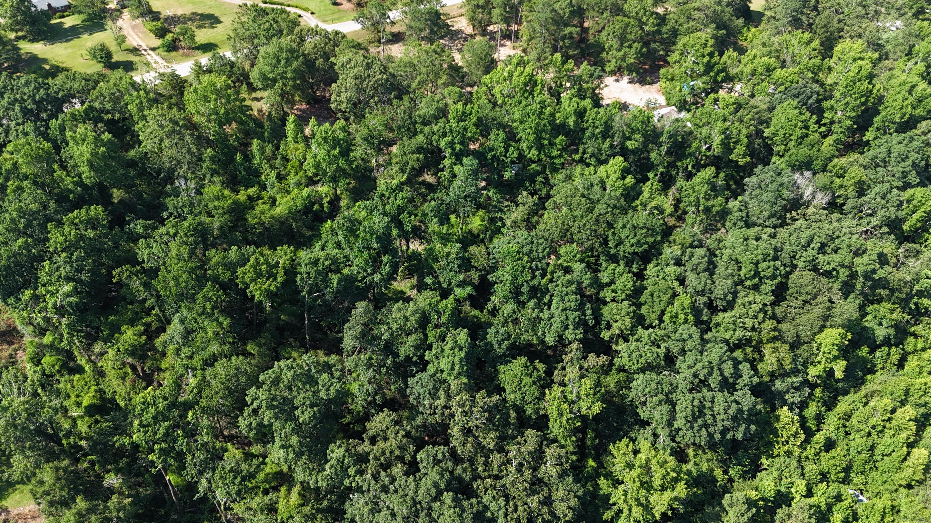 2039 McDade Road Hephzibah, GA 30815 - Photo 20 of 20 DJI_20250626102446_0081_D