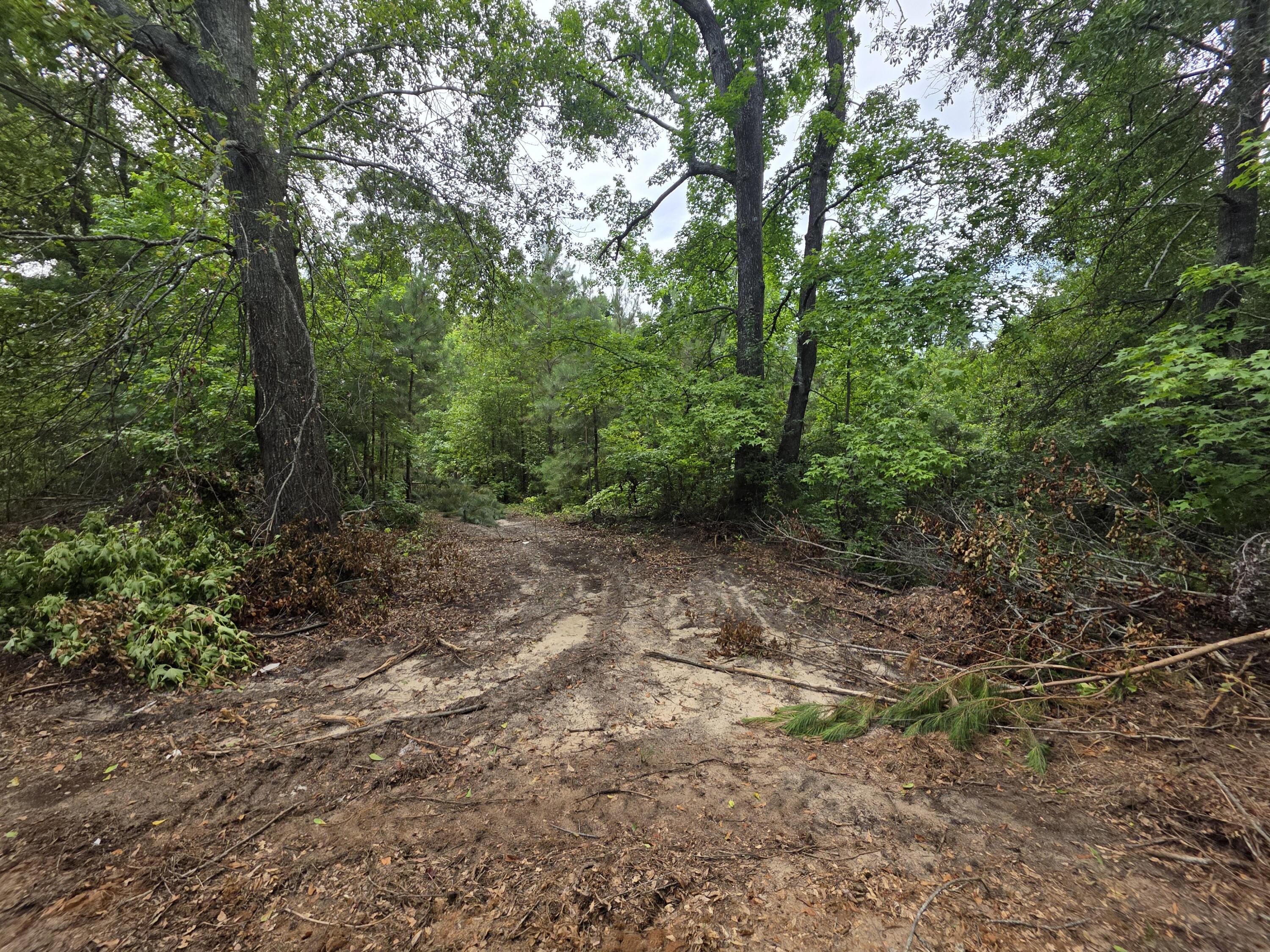 2039 McDade Road Hephzibah, GA 30815 - Photo 5 of 20 1000012222