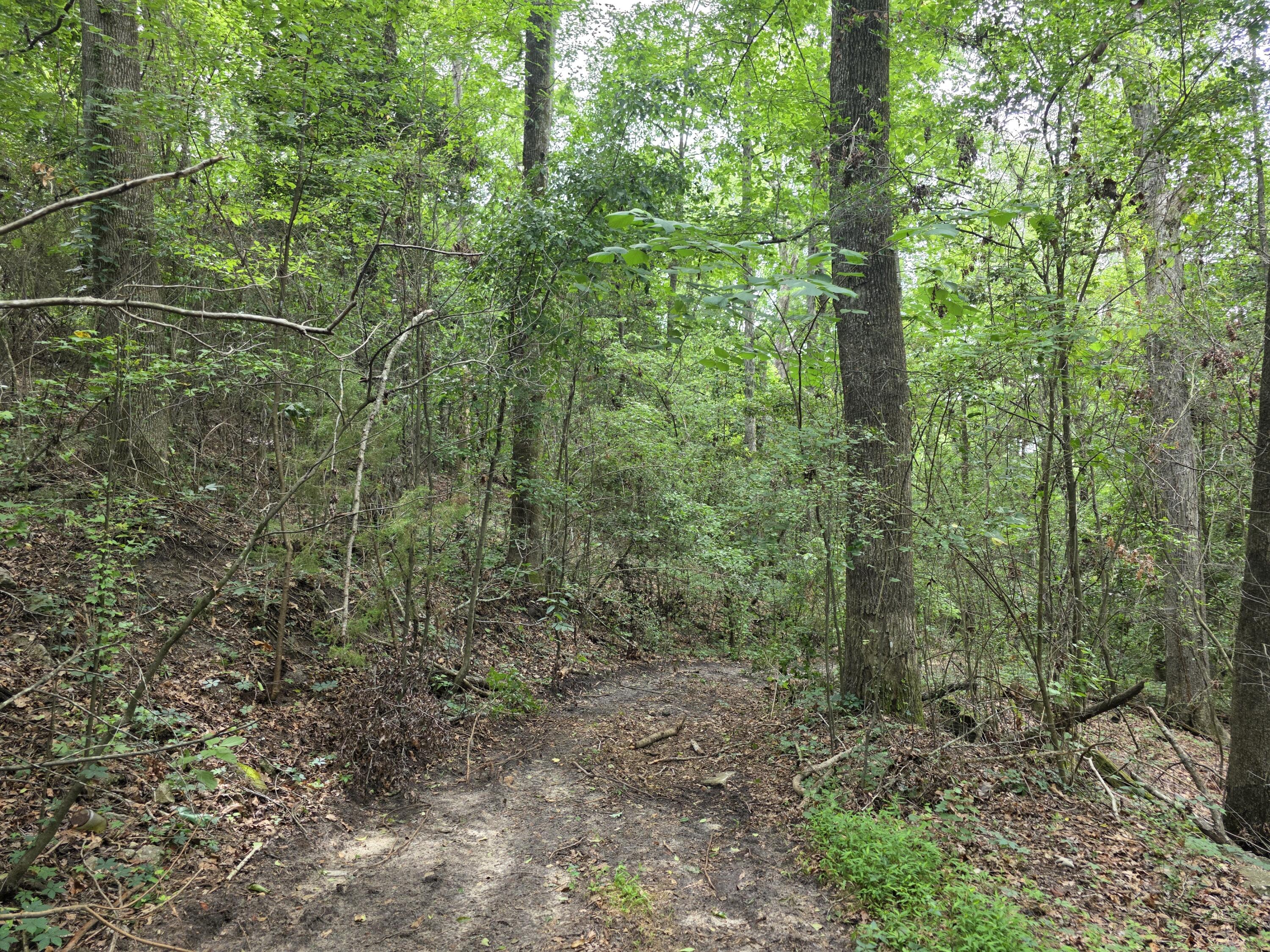 2039 McDade Road Hephzibah, GA 30815 - Photo 8 of 20 1000012228