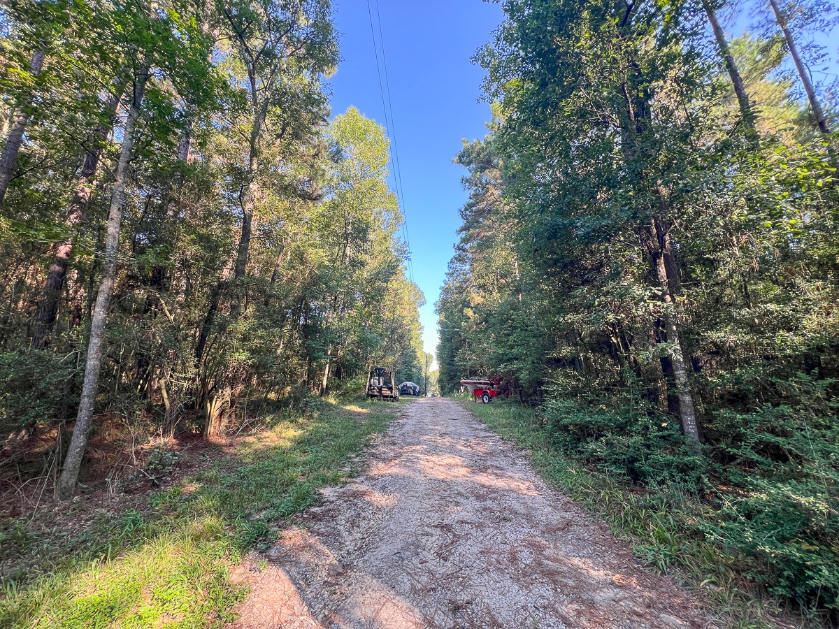 0 Hardy Bottom Road New Waverly, TX 77358 - Photo 8 of 9 a view of backyard with green space