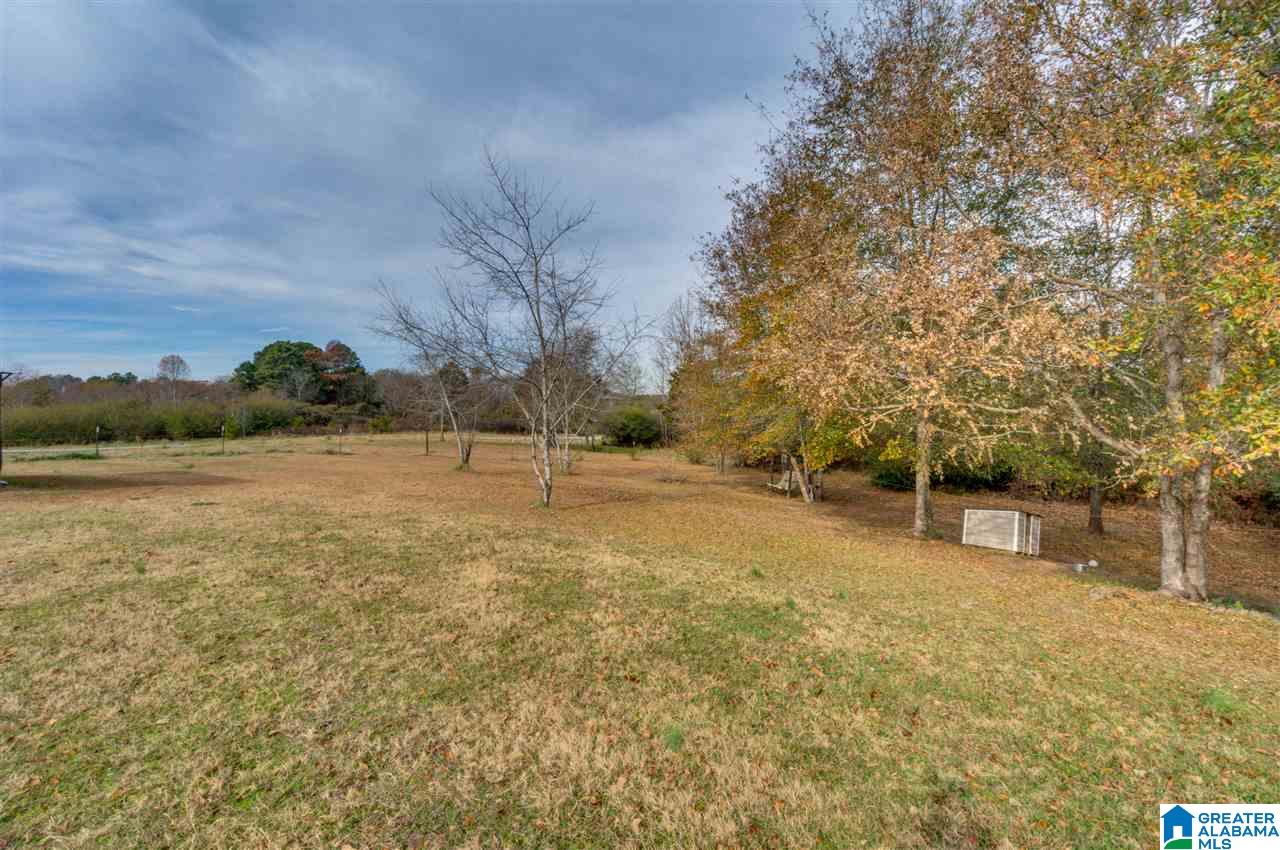 5313 County Road 24 Verbena, AL 36091 - Photo 47 of 49