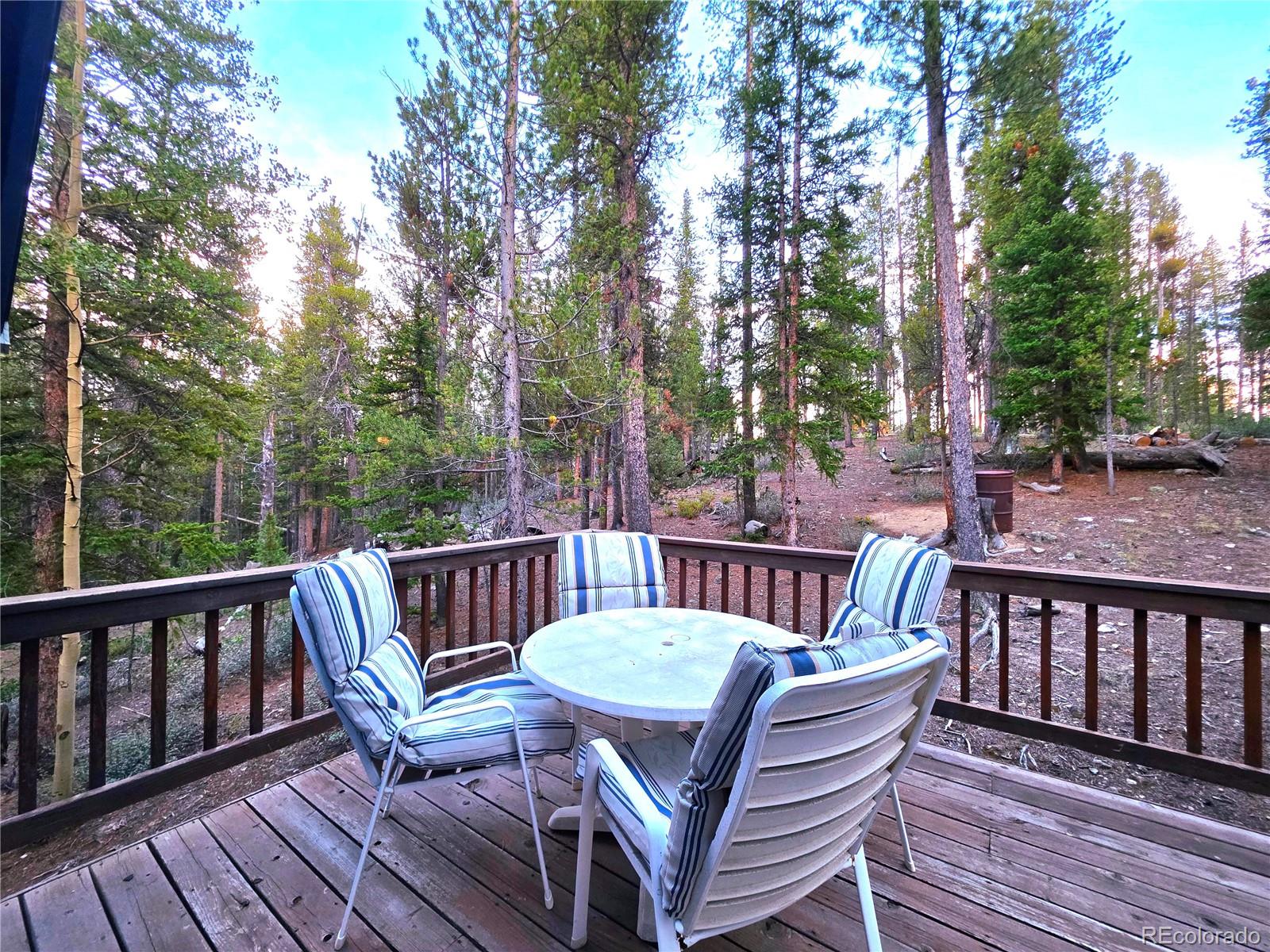 211 Pine Ridge Road Alma, CO 80420 - Photo 22 of 48