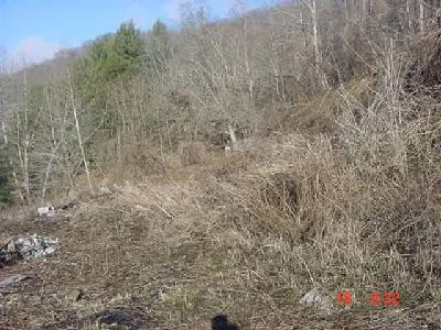 1146 Hardburly Road Bulan, KY 41722 - Photo 1 of 1 Photo 1