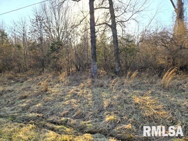 0 North Stone Lane Mount Vernon, IL 62864 - Photo 3 of 8 a view of a yard with trees