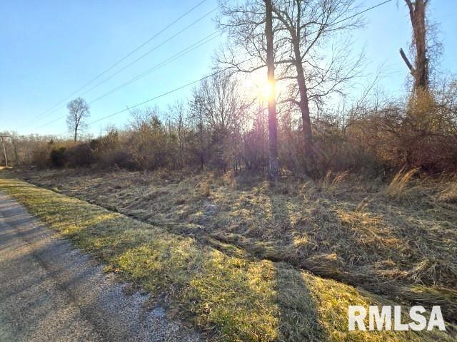 0 North Stone Lane Mount Vernon, IL 62864 - Photo 5 of 8 a view of a yard