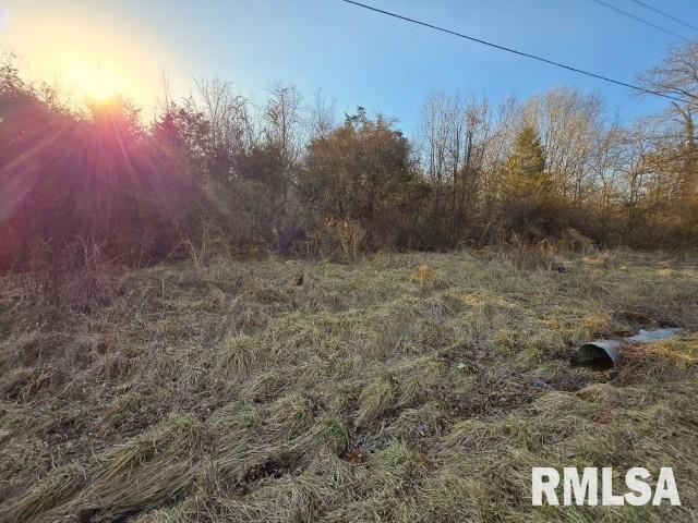 0 North Stone Lane Mount Vernon, IL 62864 - Photo 7 of 8 a view of a yard