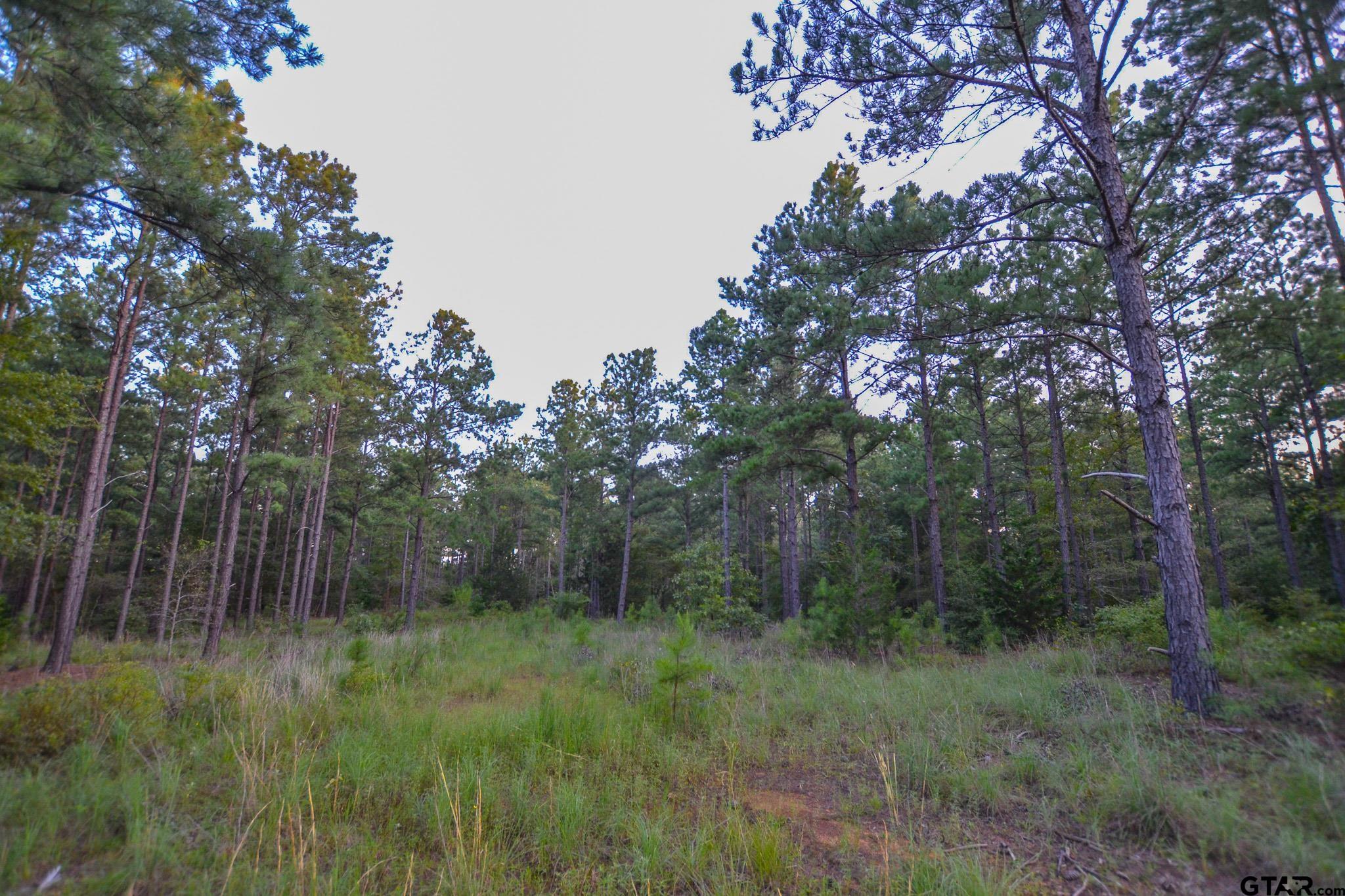 1 State Highway 155 Tyler, TX 75703 - Photo 11 of 21