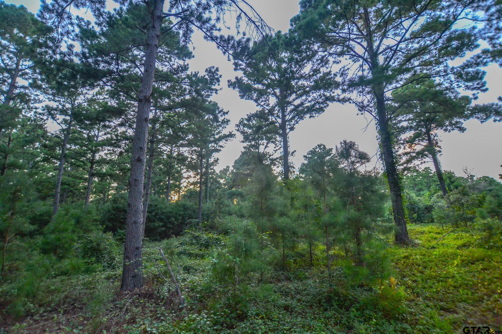 1 State Highway 155 Tyler, TX 75703 - Photo 12 of 21