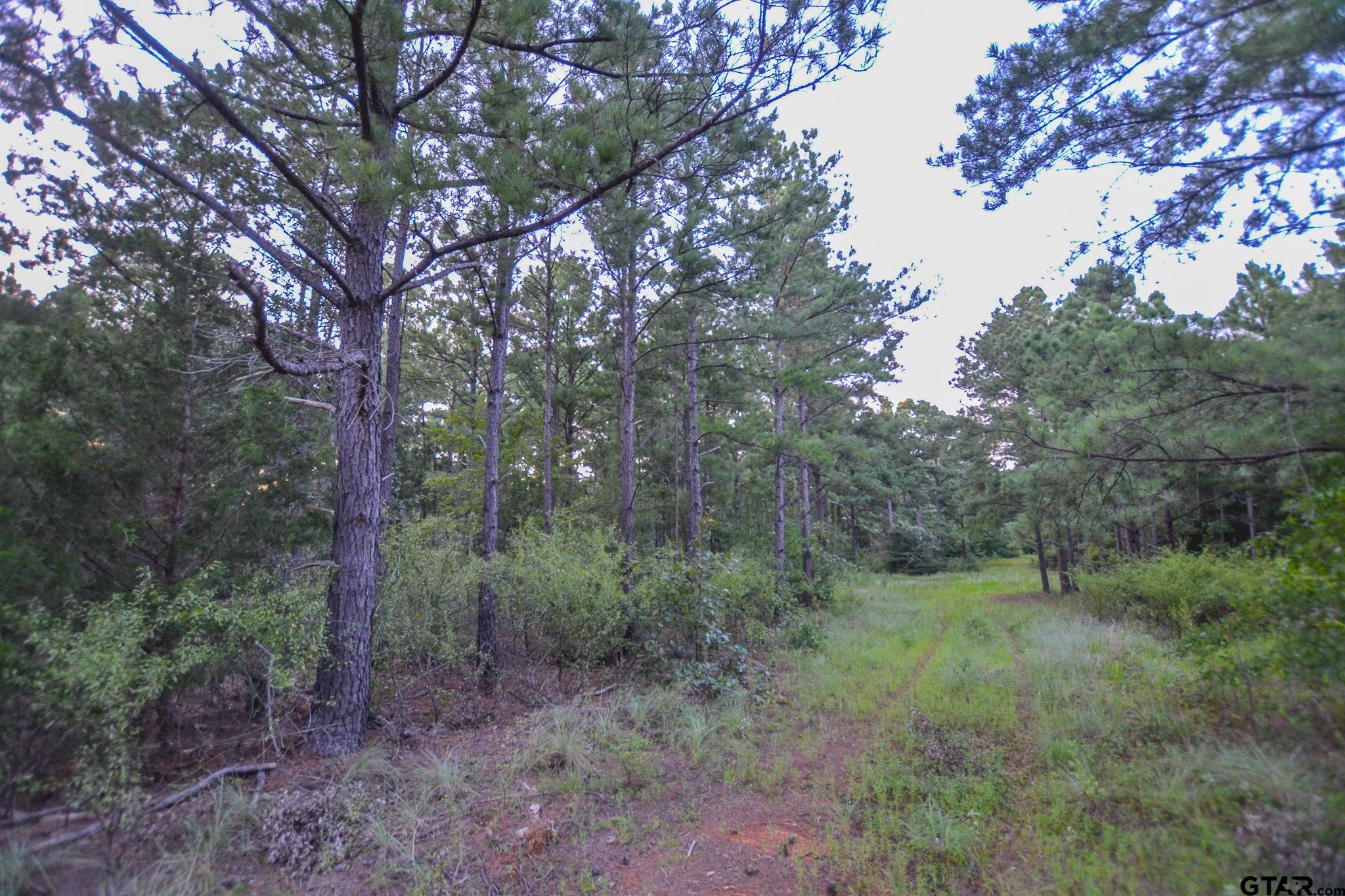 1 State Highway 155 Tyler, TX 75703 - Photo 14 of 21